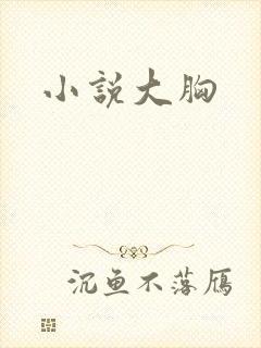 小说大胸封面