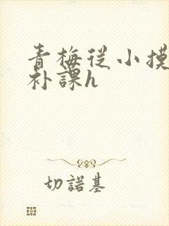 青梅从小摸到大补课h