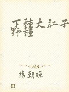 下种大肚子怀孕野种