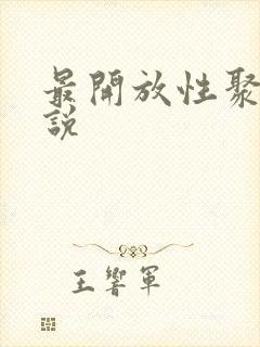 最开放性聚会小说