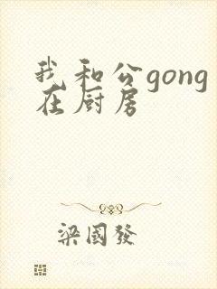 我和公gong在厨房封面