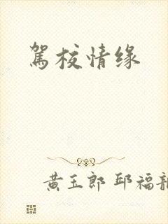 驾校情缘封面
