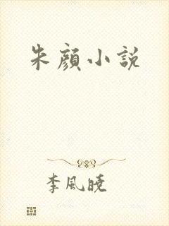 朱颜小说