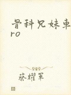 骨科兄妹车多pro
