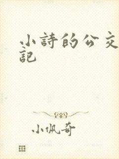 小诗的公交车日记封面
