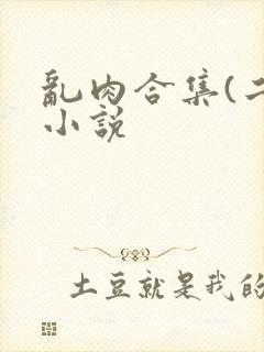 乱肉合集(二)小说封面