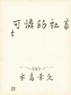 可怜的社畜txt