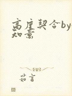 高度契合by洛知意封面