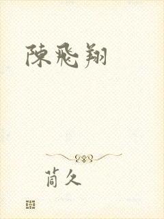 陈飞翔