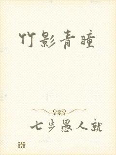 竹影青瞳封面
