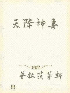天降神妻封面