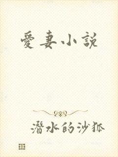 爱妻小说