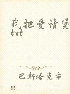我把爱情煲成汤txt