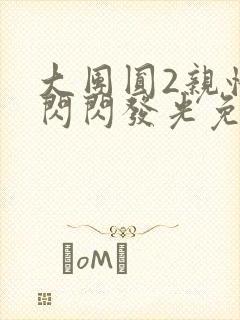 大团圆2亲情会闪闪发光免费