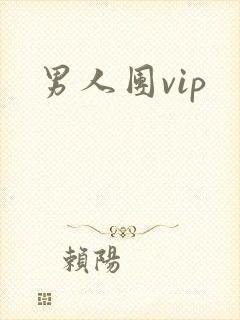 男人团vip