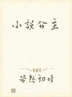 小说公主