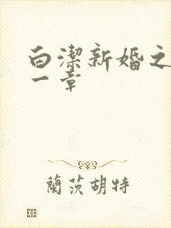 白洁新婚之夜第一章