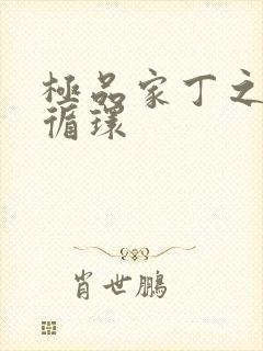 极品家丁之因果循环封面
