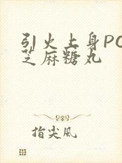 引火上身POP芝麻糖丸