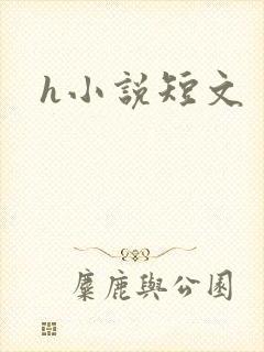 h小说短文