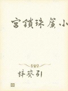 宫锁珠帘小说封面