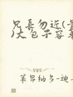 兄长勿近(骨科)大包子容华