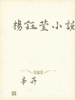 杨钰莹小说