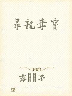 寻龙夺宝
