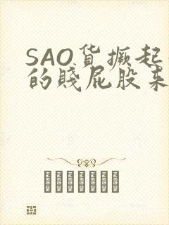 SAO货撅起你的贱屁股来封面