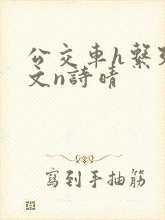 公交车h系列辣文n诗晴
