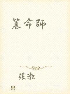 篡命师封面