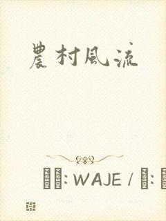 农村风流