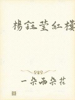 杨钰莹红楼封面