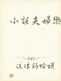 小说夫妇乐园