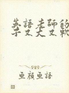 英语老师的小兔子又大又软