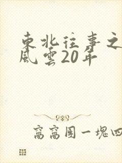 东北往事之黑道风云20年封面