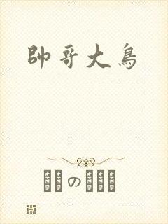 帅哥大鸟