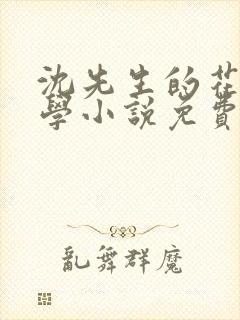 沈先生的花式教学小说免费