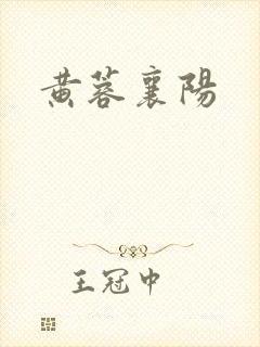 黄蓉襄阳封面