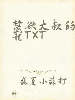 禁欲大叔的心尖宠TXT