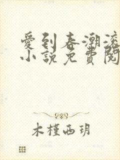爱到春潮滚滚来小说免费阅读