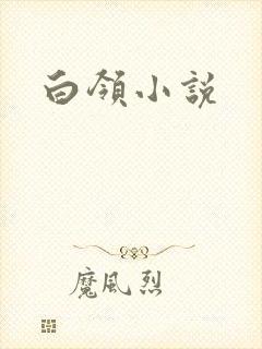 白领小说