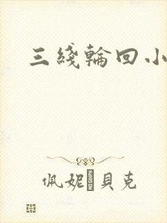三线轮回小说