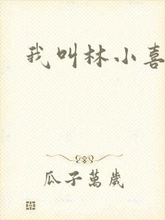 我叫林小喜17
