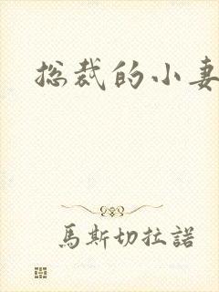 总裁的小妻子