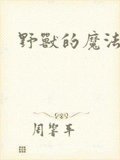 野兽的魔法师封面