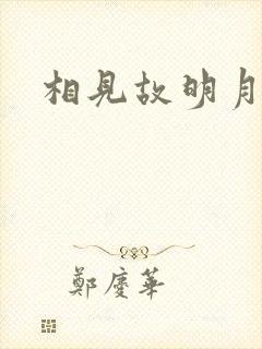 相见故明月