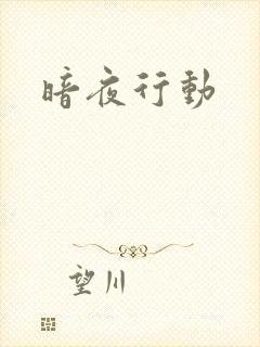 暗夜行动