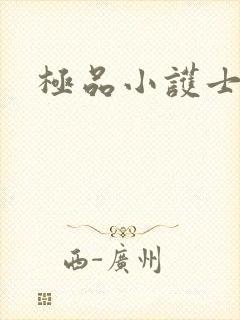 极品小护士封面