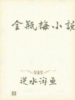 金瓶梅小说下载